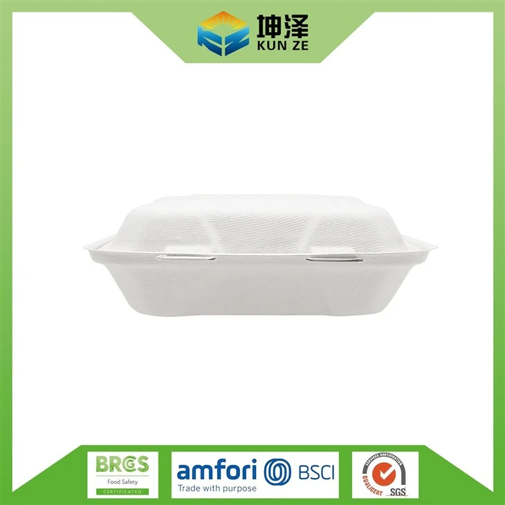 Bagasse Food Box