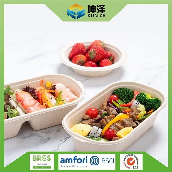 Eco Friendly Salad Box
