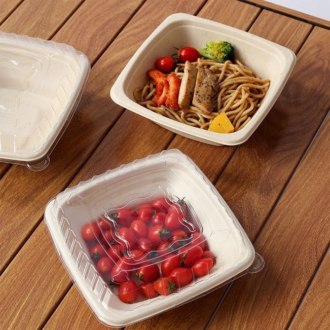 Disposable Bento Containers factory